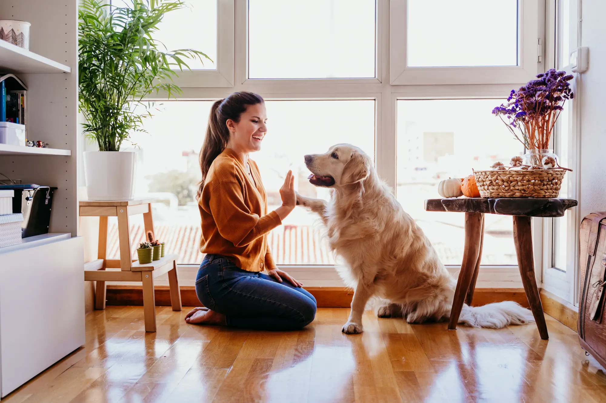 Kopie van AdobeStock_303891956